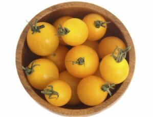 Mega Tomato Gold Nugget 100 Plants